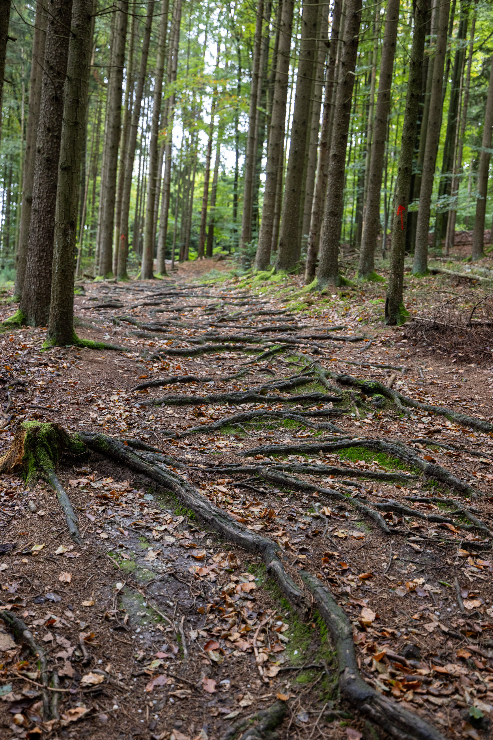 20231015114504 R5D 4431